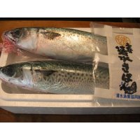 活き締め清水サバ2本セット