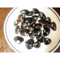 四万十川産しじみ２００g（送料別商品）