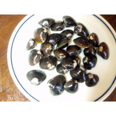 画像1: 四万十川産しじみ２００g（送料別商品）